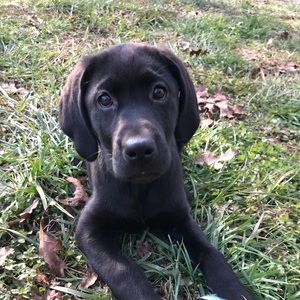 Meet your Posher, Clay